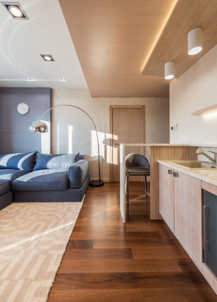 Comfortable sofa and lamp on carpet in living zone with counter in kitchen in studio apartment